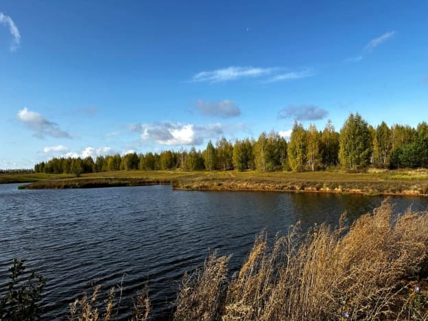 Коттеджные поселки в Рязанской области. Вариант № 5742, 1, цена 880000 рублей
