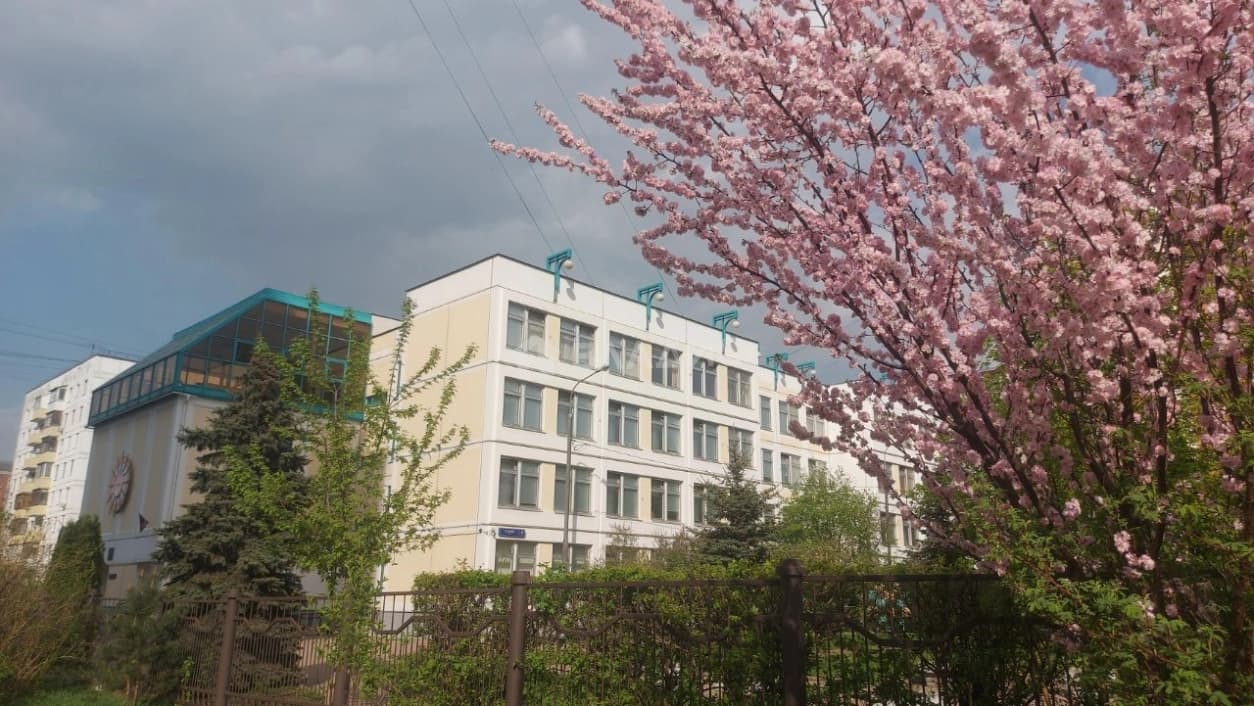 Photo 41