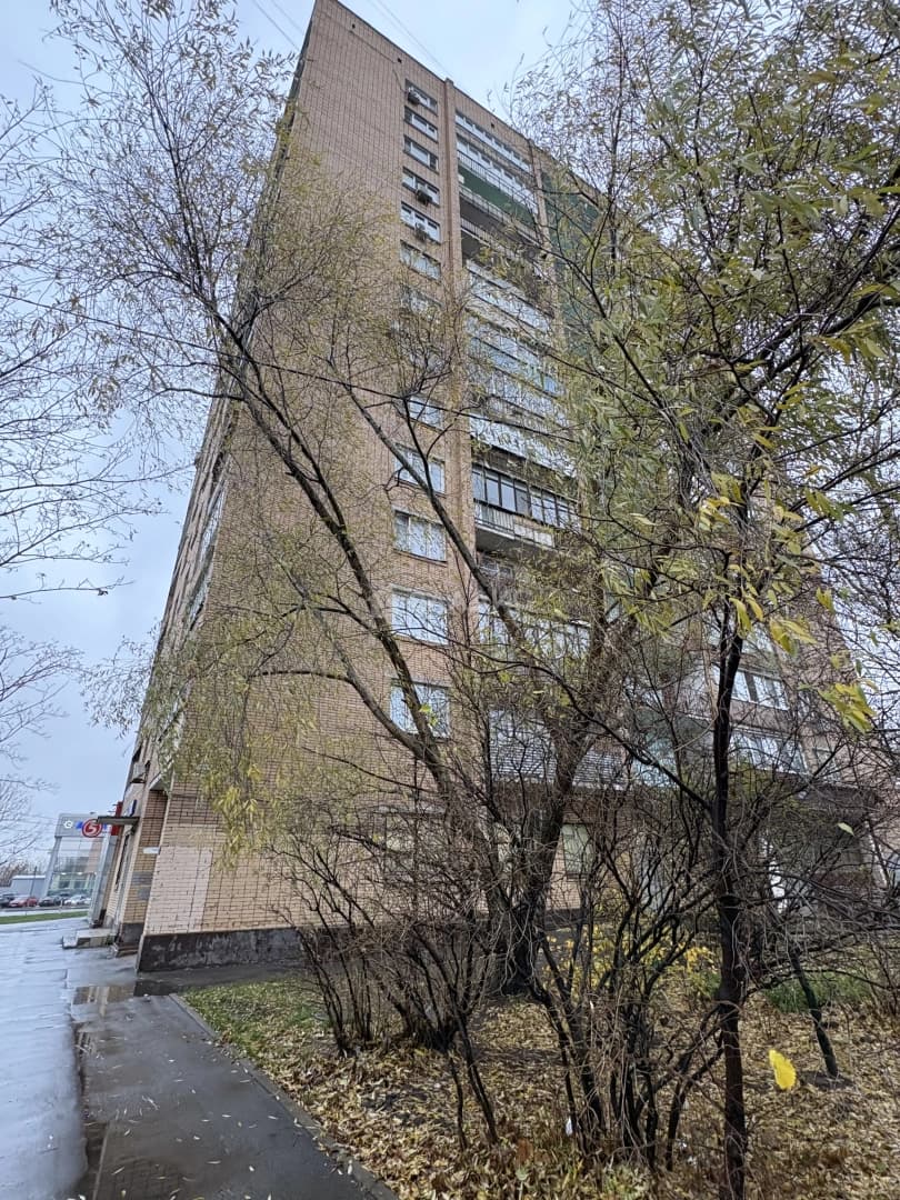 Photo 29