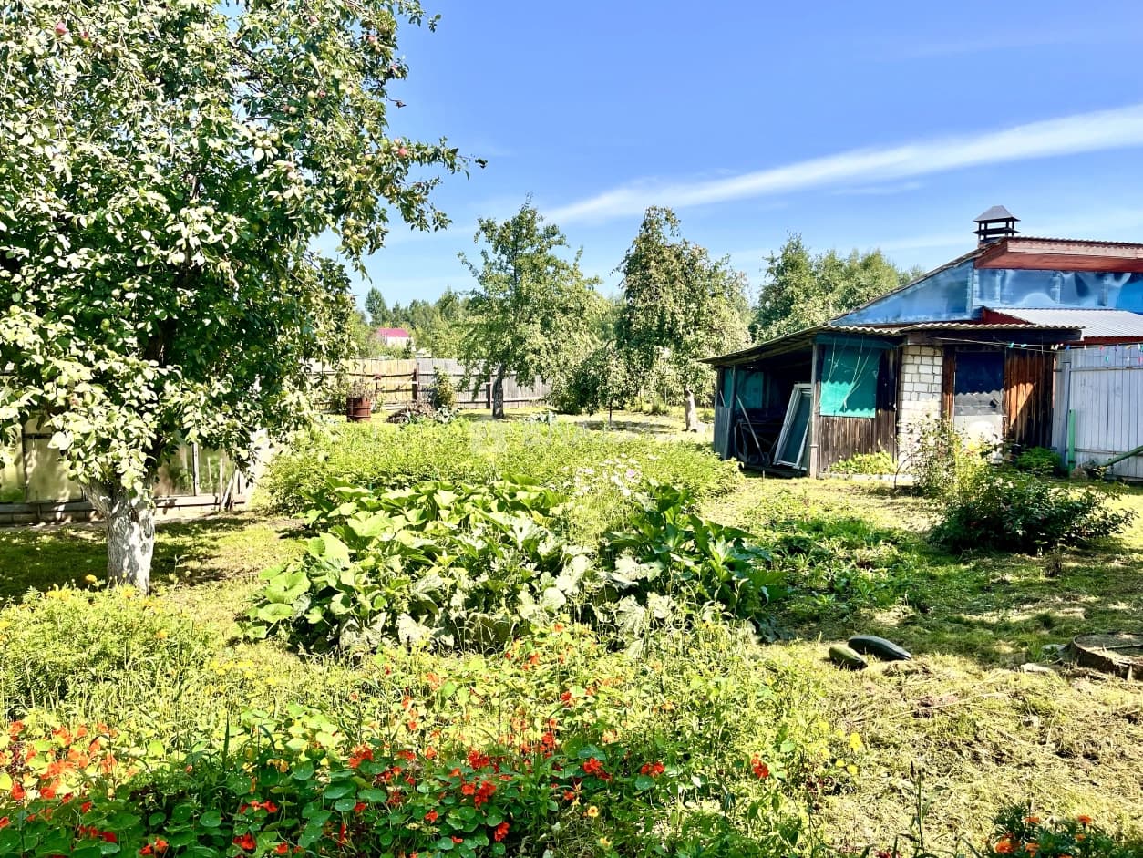 Photo 45