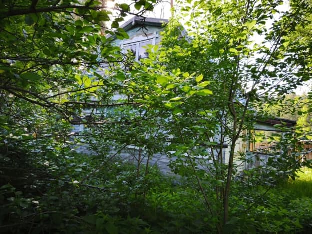 Купить четырехкомнатную квартиру до 2 млн в Нижегородской области. Вариант № 2220068, 1, площадь - квм, цена 800000 рублей