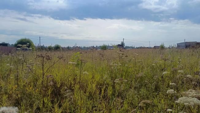 Купить земельный участок в Московской области. Вариант № 2286451, 0, площадь - квм, цена 2300000 рублей