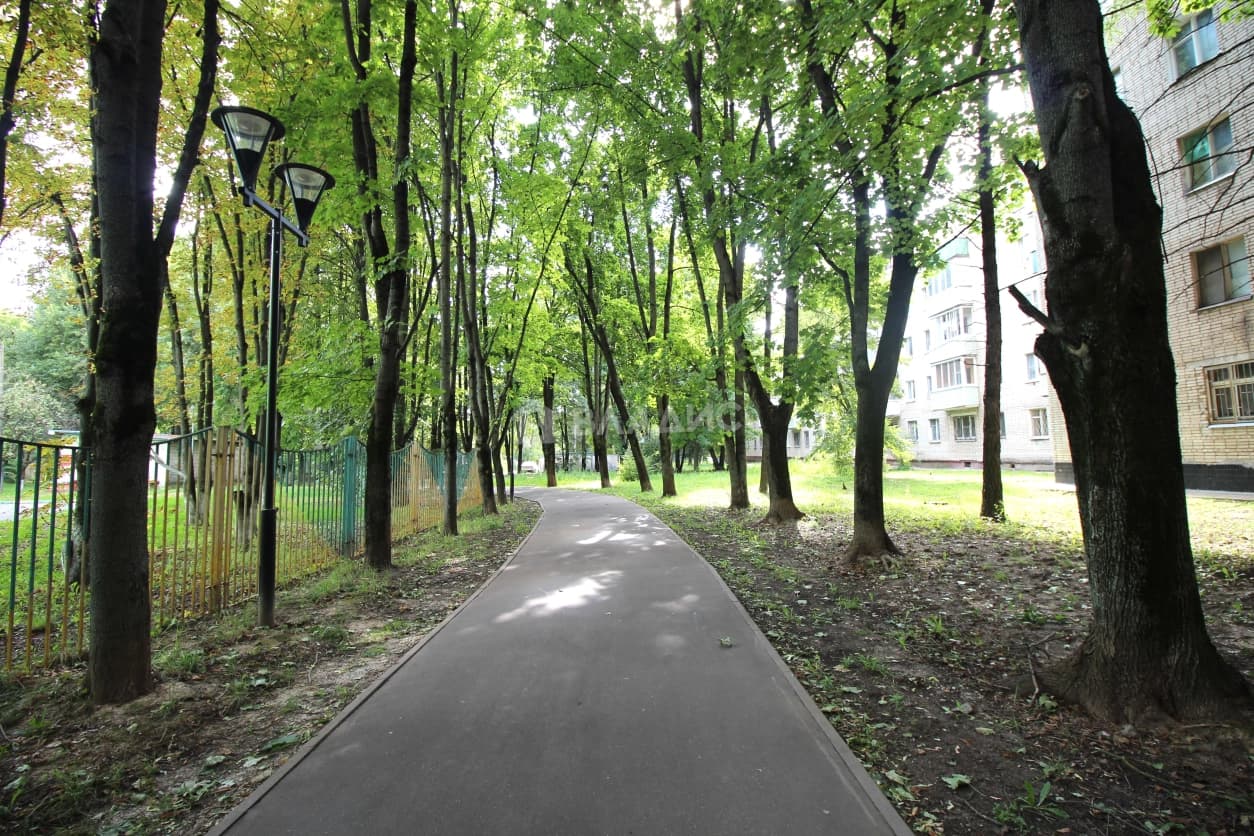 Photo 25