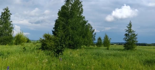 Купить земельный участок в Рязани. Вариант № 2188370, 1, площадь - квм, цена 630000 рублей