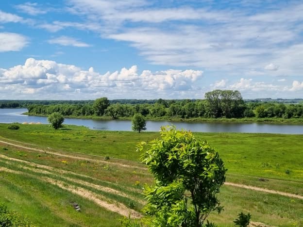 Купить земельный участок в Рязанском районе в Рязанской области. Вариант № 1953657, 0, площадь - квм, цена 1450000 рублей