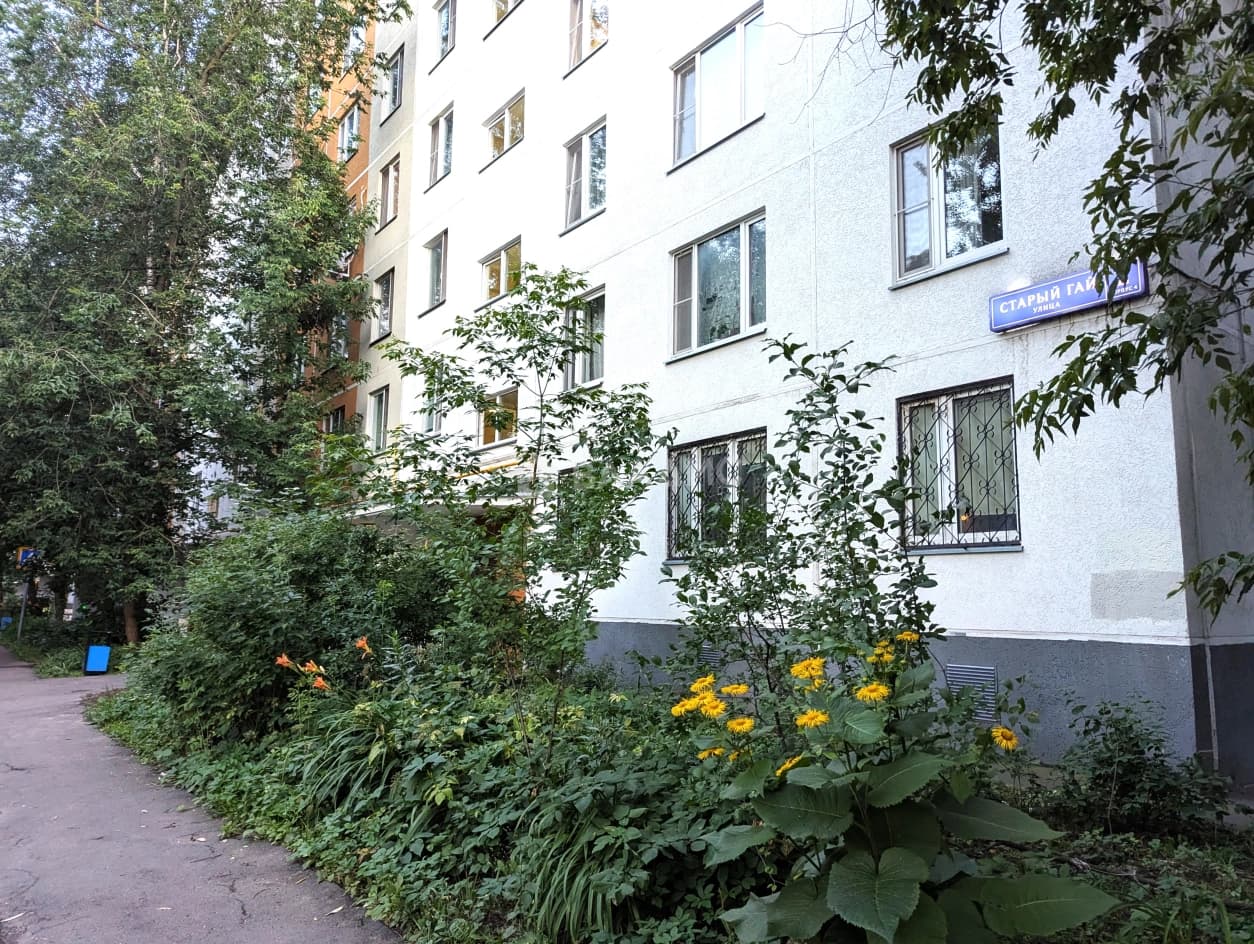 Photo 11