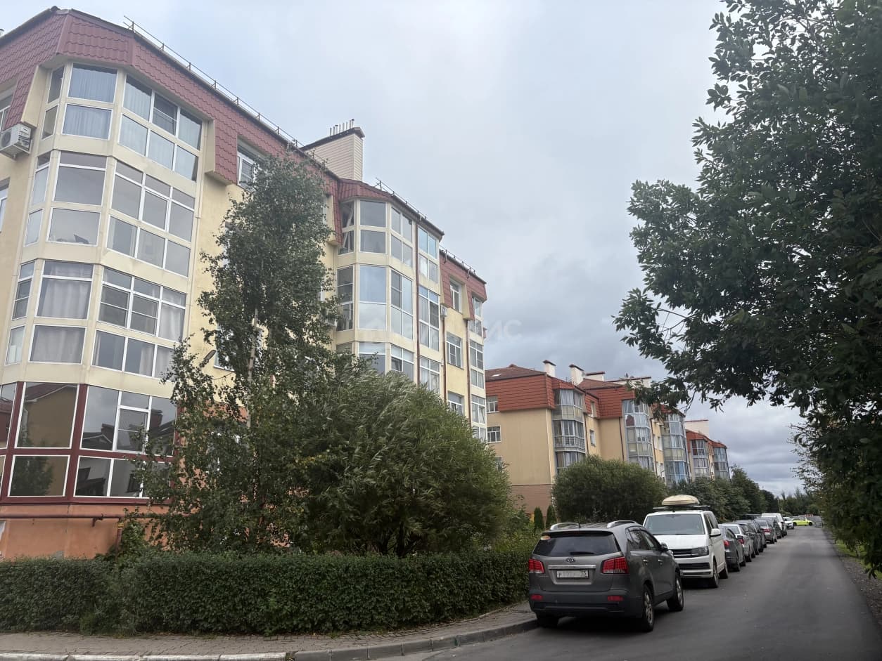 Photo 42