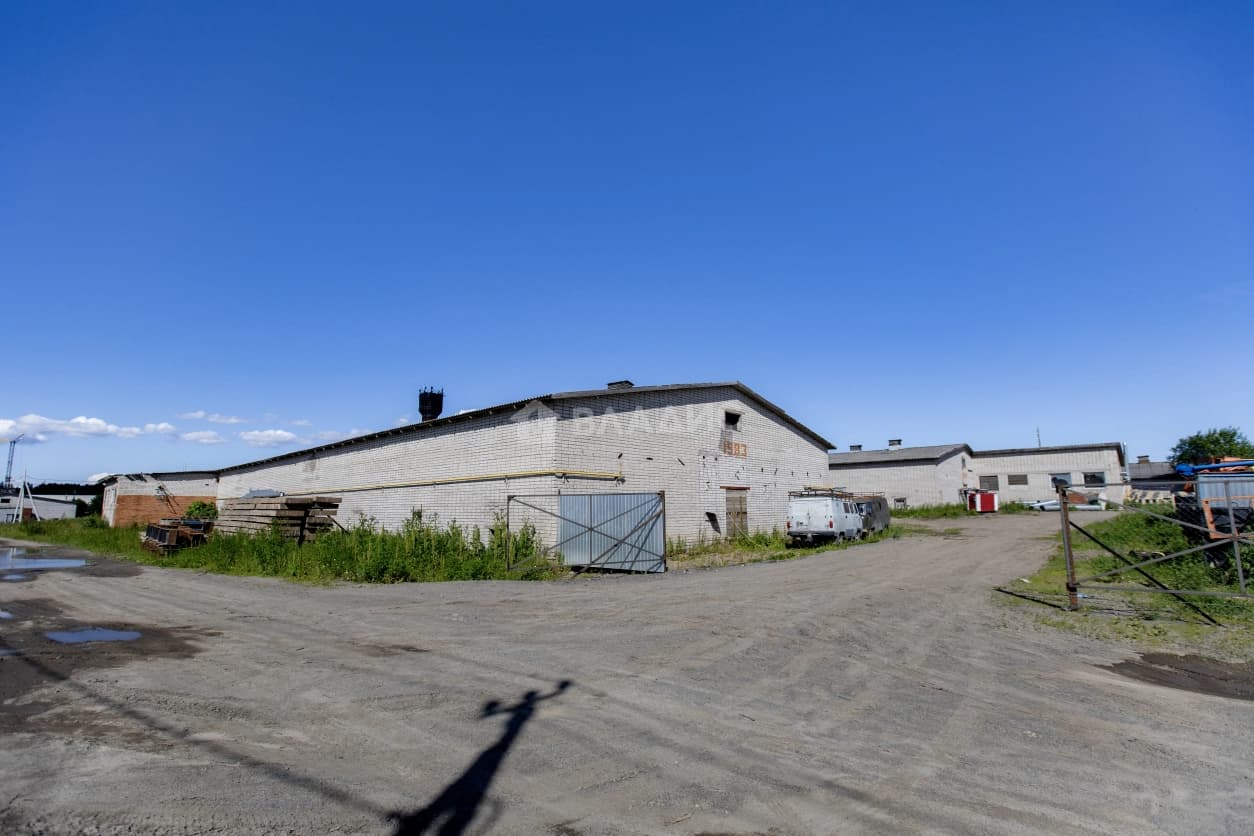 Photo 25