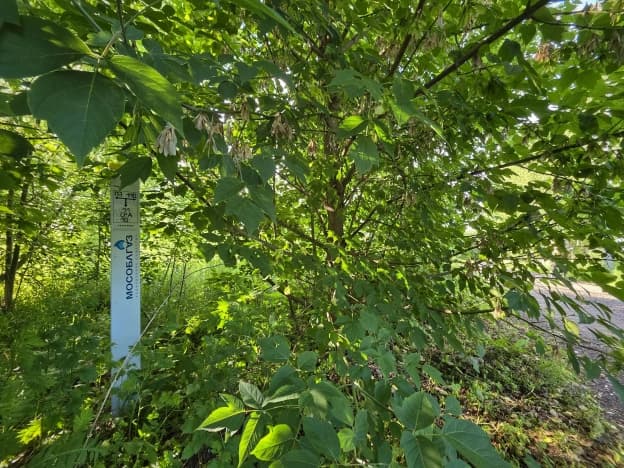 Купить дом в Посёлоке Городского Типе Белоомуте в Муниципальном Округе Луховицах на улице Егорова, посёлок городского типа Белоомут в Московской области. Вариант № 2219518, 1, площадь - квм, цена 7850000 рублей