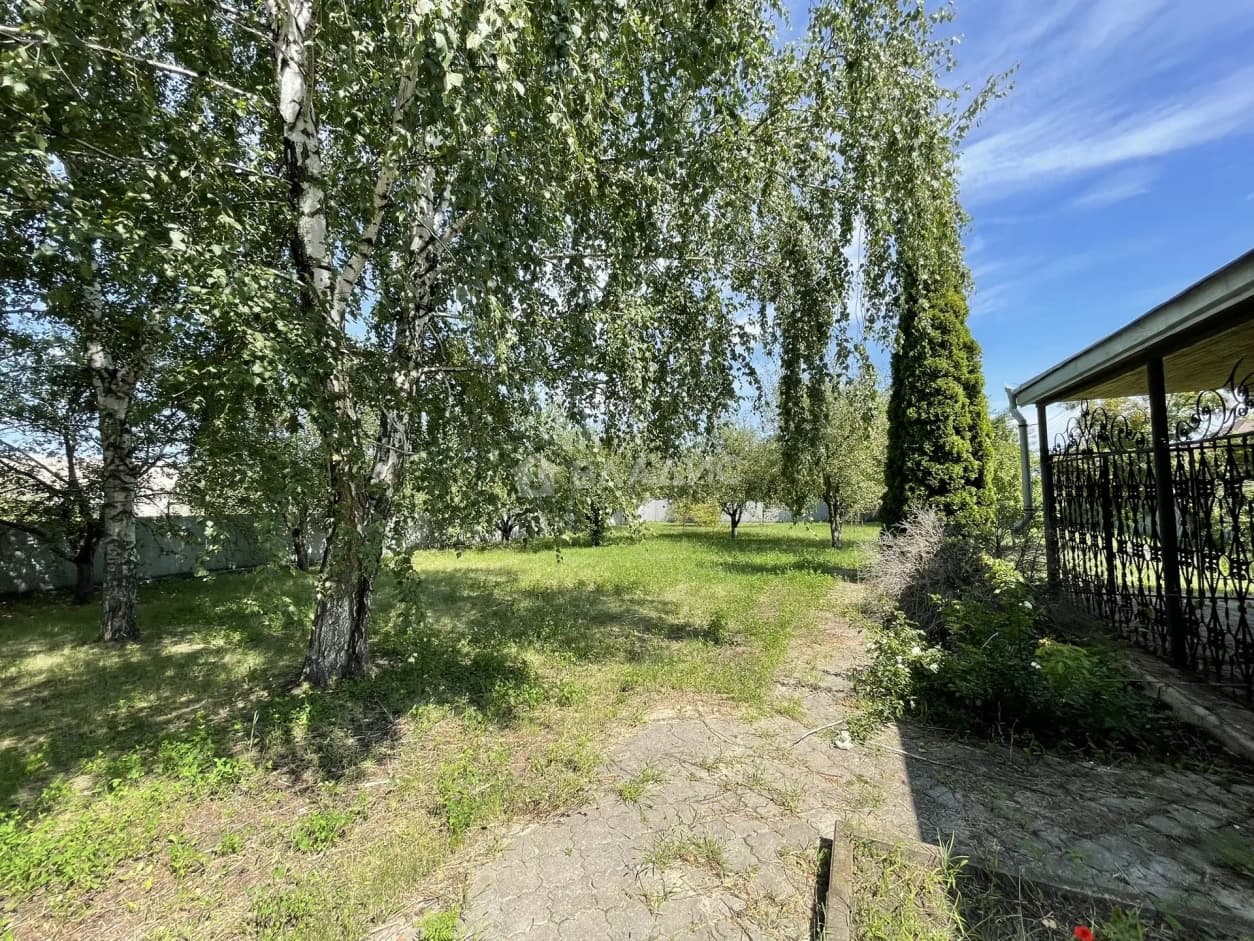 Photo 39