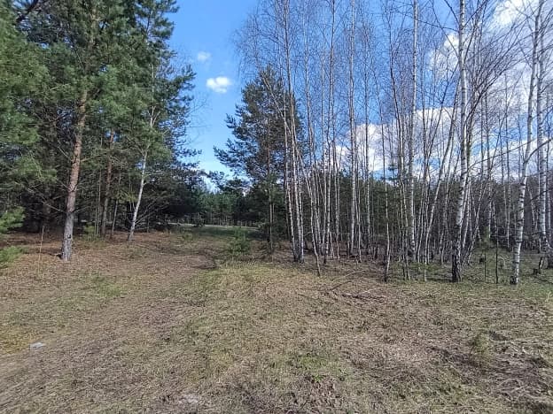 Купить земельный участок в Рязанской области. Вариант № 2156456, 1, площадь - квм, цена 250000 рублей
