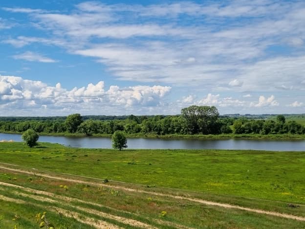Купить земельный участок в Рязанском районе в Рязанской области. Вариант № 1953657, 1, площадь - квм, цена 1450000 рублей