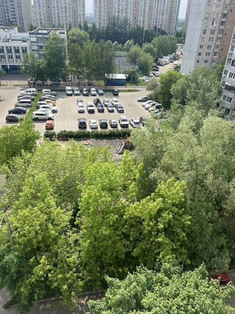 Photo 19