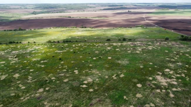 Купить земельный участок в Заволжском районе в Ивановской области. Вариант № 2067894, 0, площадь - квм, цена 550000 рублей
