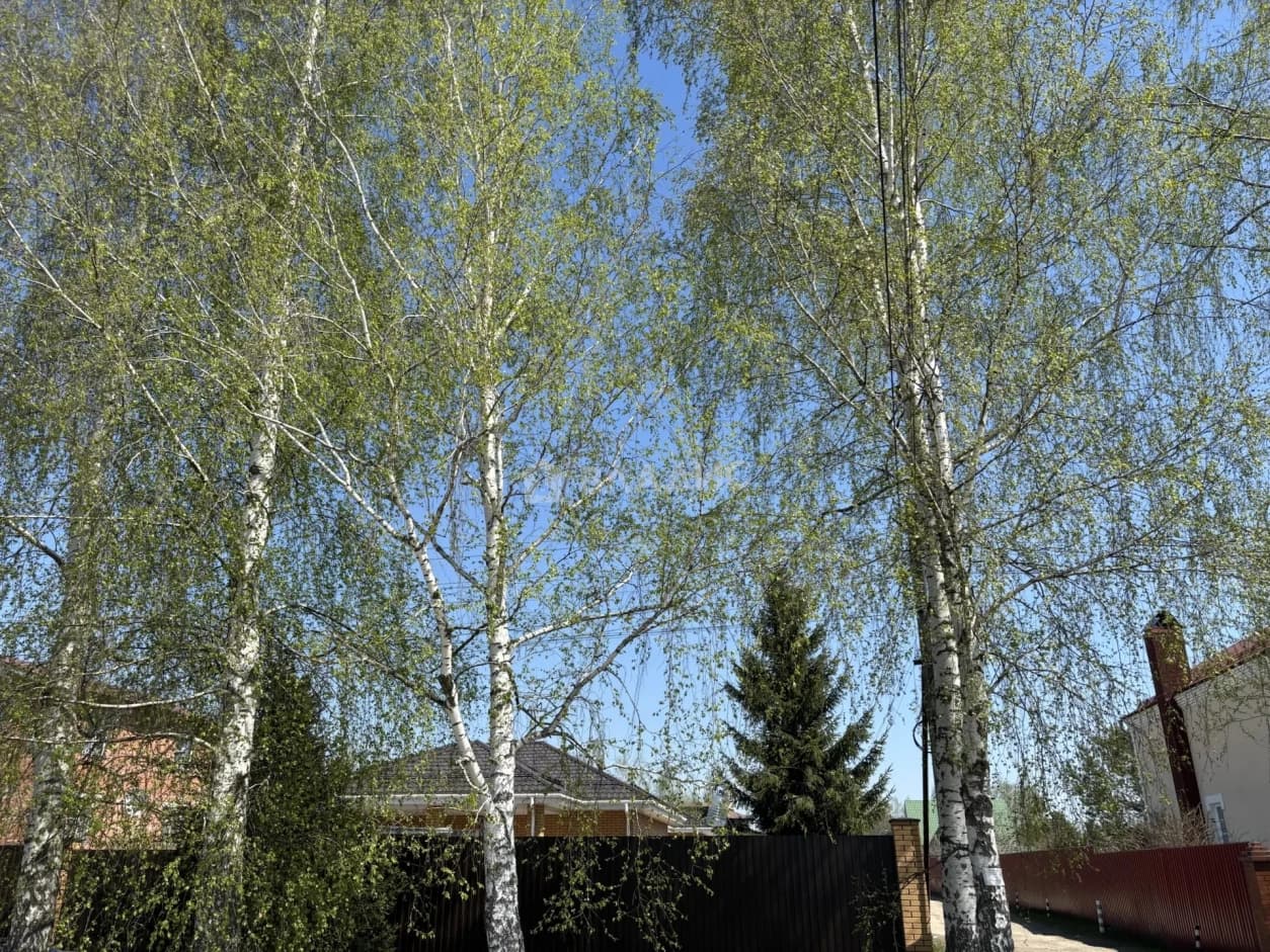 Photo 24