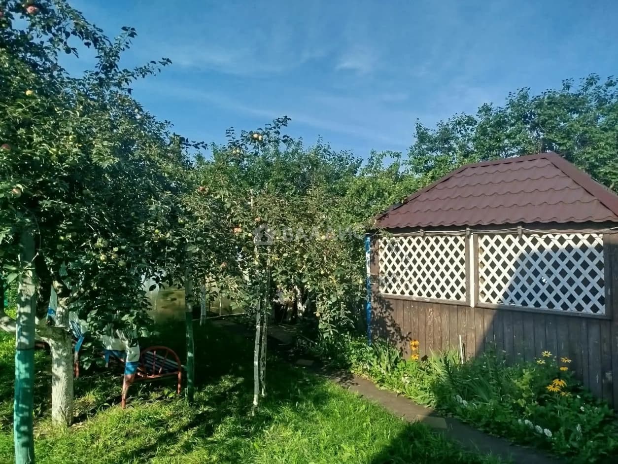 Photo 19