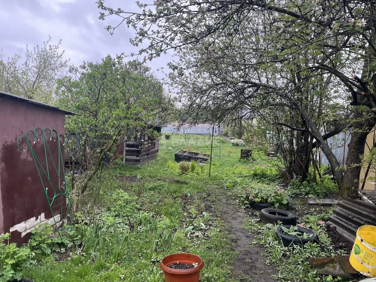 Photo 22
