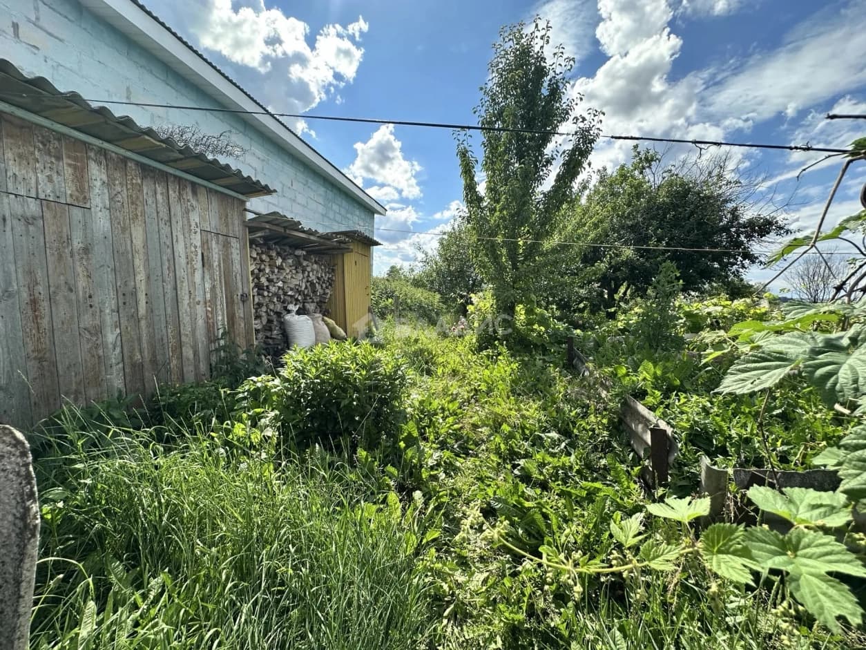 Photo 35