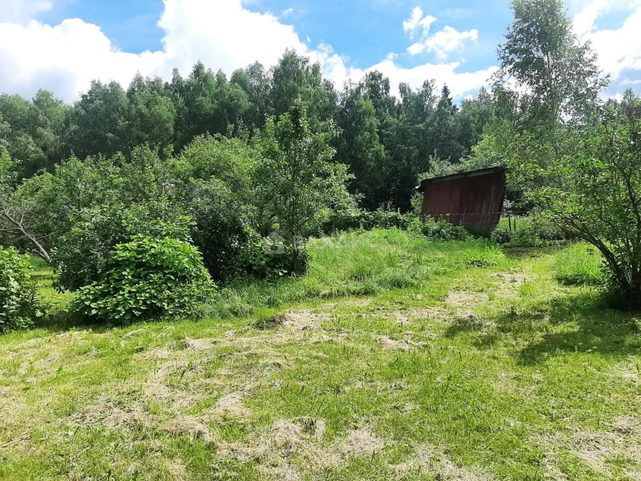 Photo 26