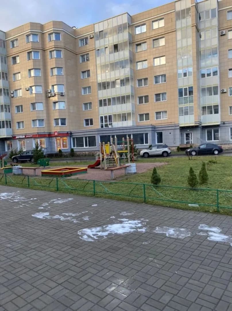 Photo 11