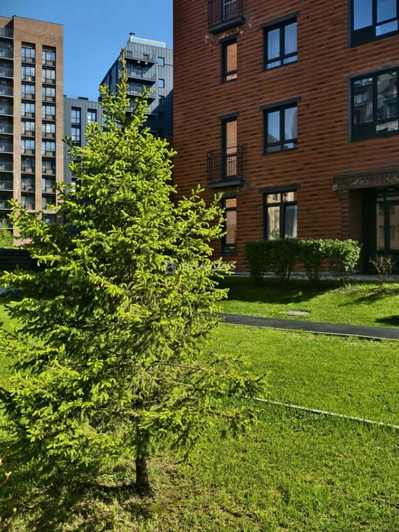 Photo 46