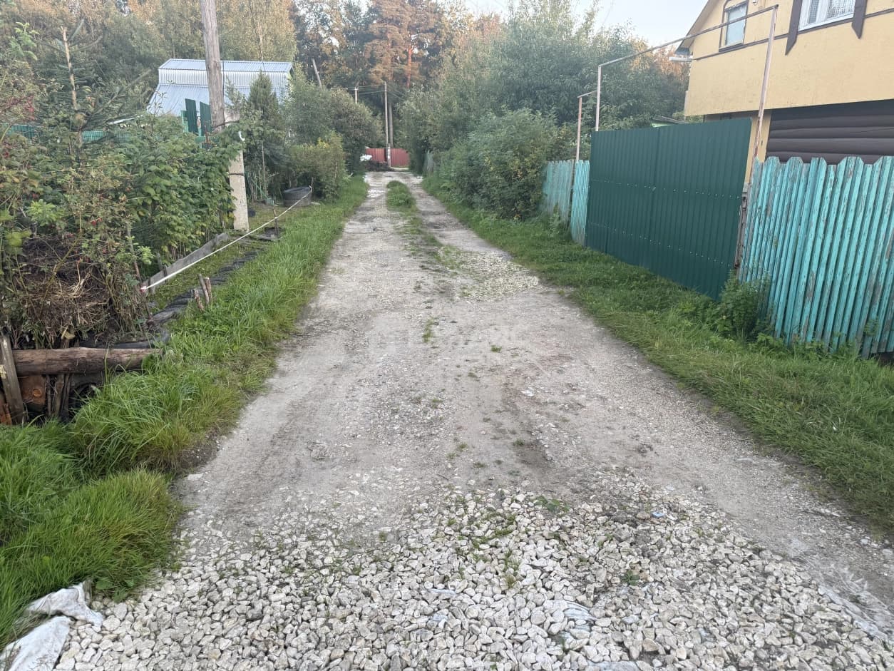 Photo 42
