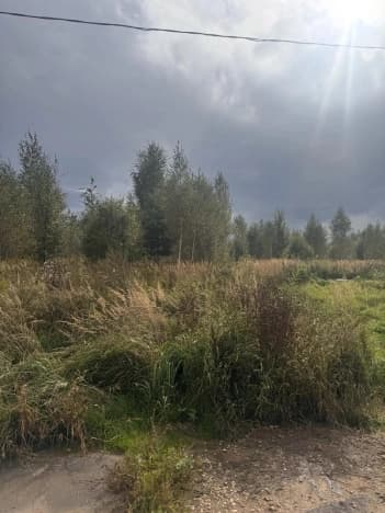 Купить земельный участок в Кстовском Муниципальном Округе в Нижегородской области. Вариант № 2323939, 1, площадь - квм, цена 3889800 рублей