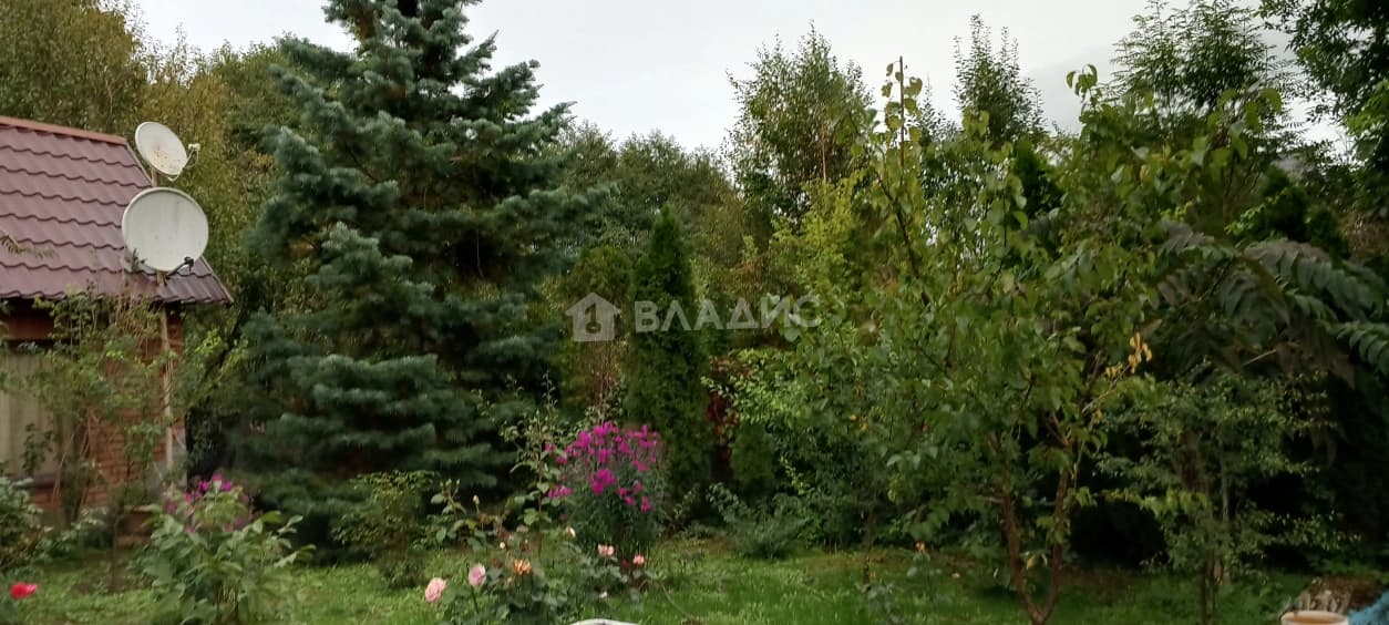 Photo 30