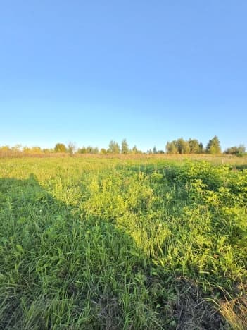 Купить земельный участок в Кпе Русской Деревне в Богородском Муниципальном Округе в Нижегородской области. Вариант № 2333744, 0, площадь - квм, цена 950000 рублей