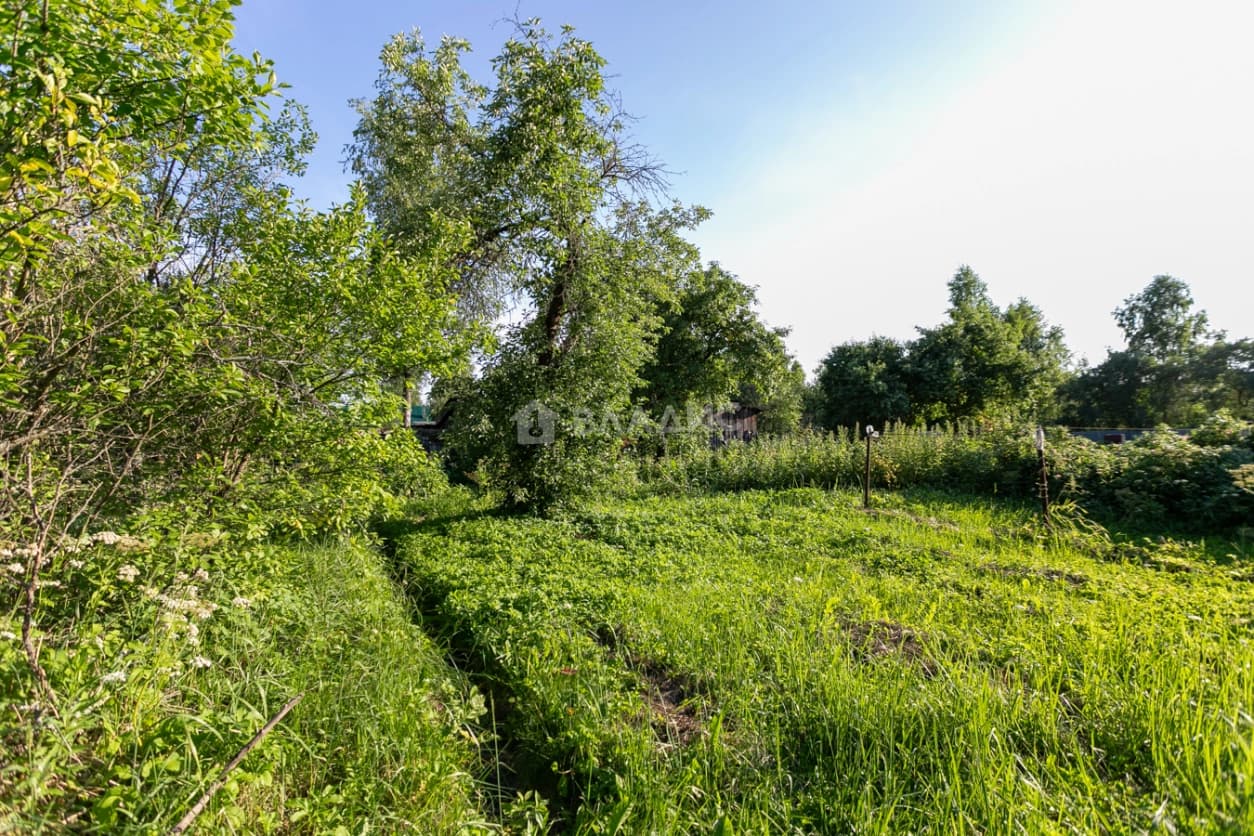 Photo 25