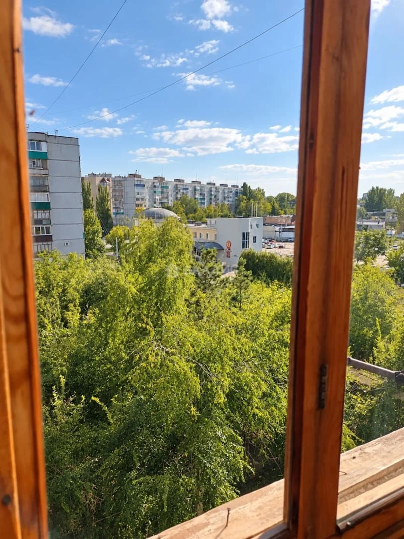 Photo 12