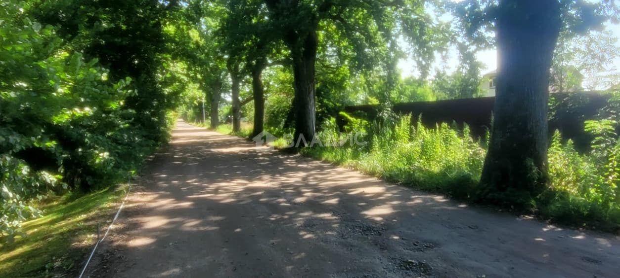 Photo 38