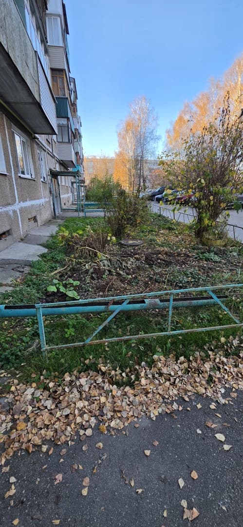 Photo 28