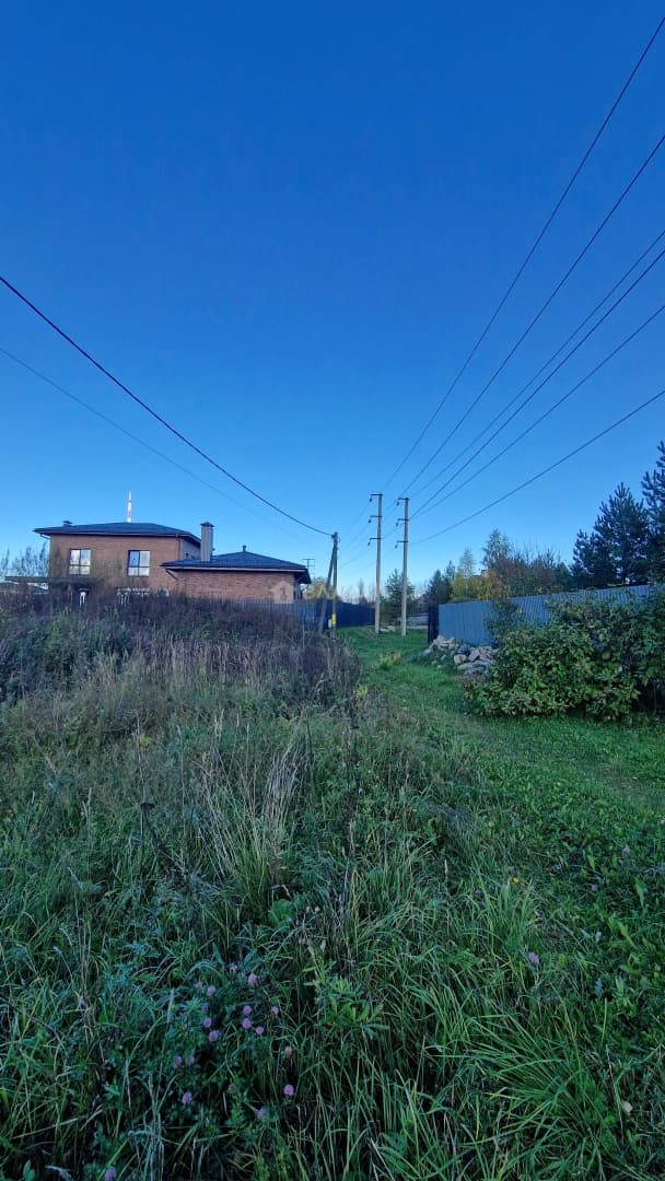 Photo 7
