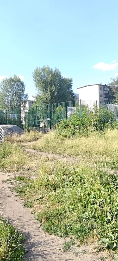 Photo 13