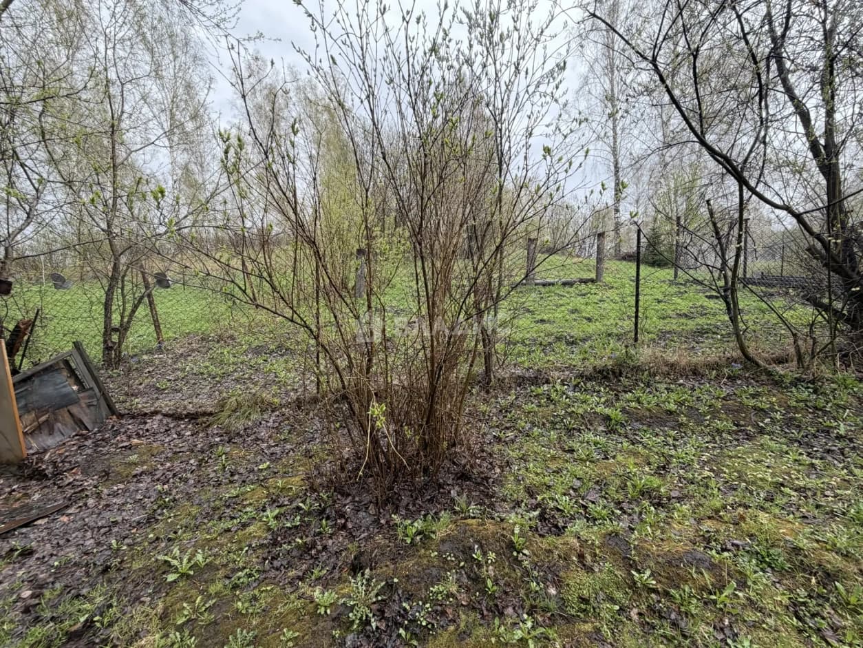 Photo 29