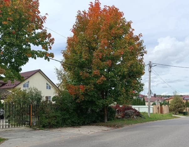 Купить дом в Деревне Молодниках в Гороховецком Муниципальном Округе в Владимирской области. Вариант № 2331534, 1, площадь - квм, цена 11850000 рублей