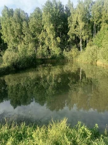 Купить земельный участок в Судогодском районе в Владимирской области. Вариант № 991147, 0, площадь - квм, цена 300000 рублей