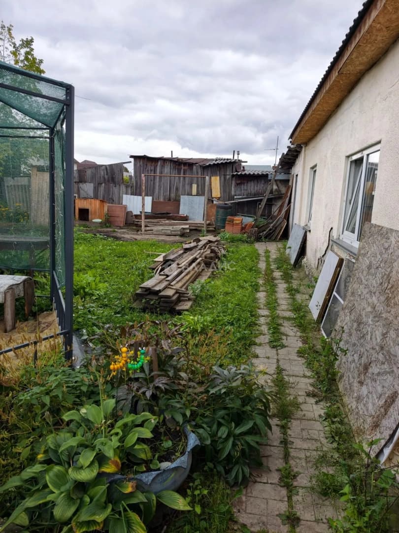 Photo 43