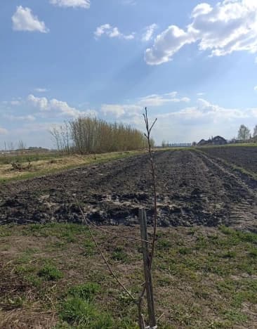 Купить дом в Деревне Малинине в Муниципальном Округе Чкаловске в Нижегородской области. Вариант № 2225729, 1, площадь - квм, цена 1700000 рублей