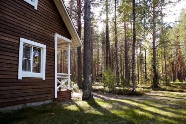 Купить коммерческую недвижимость в Республике Карелия. Вариант № 2232309, 1, площадь - квм, цена 49000000 рублей