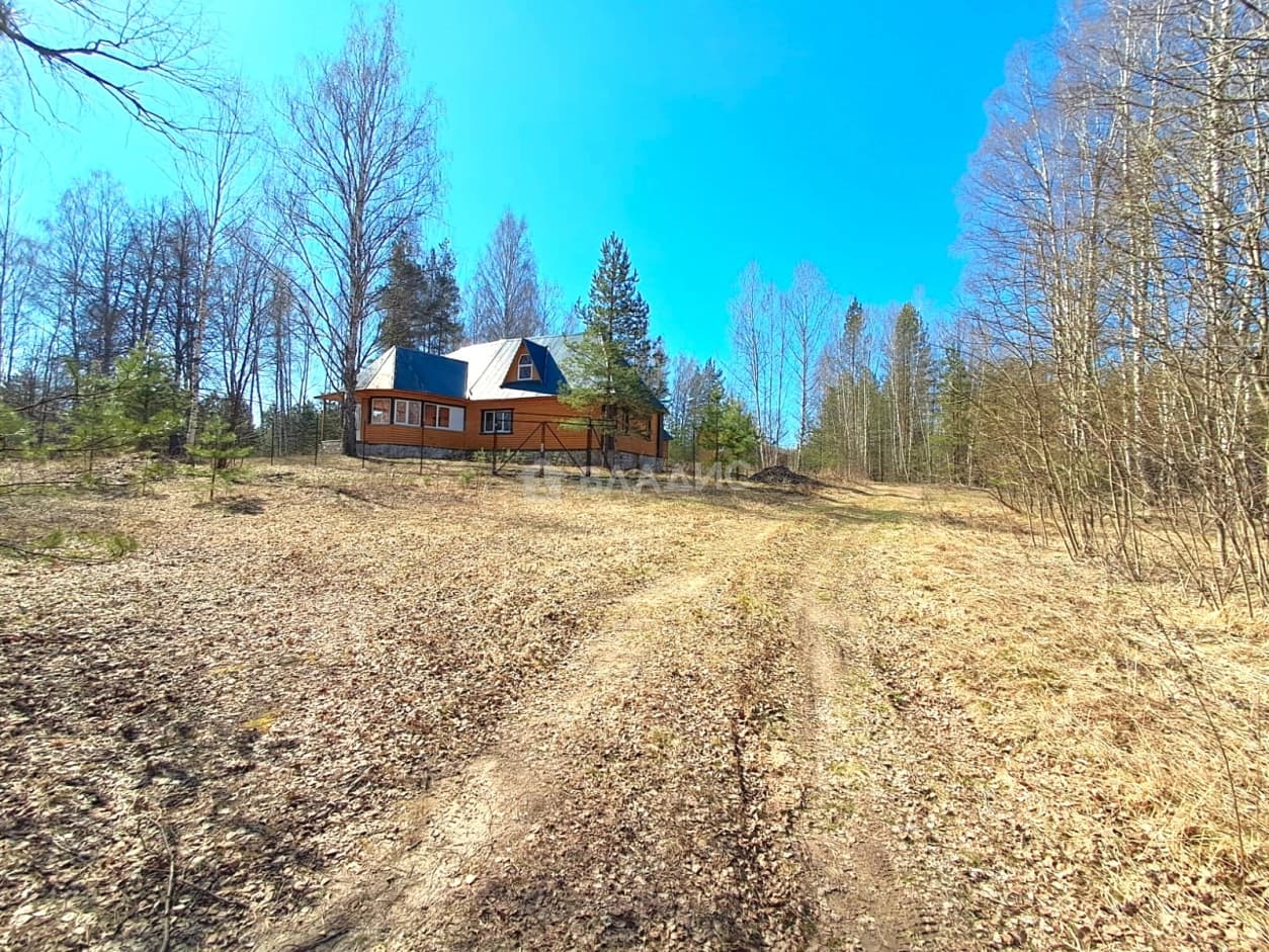 Photo 8