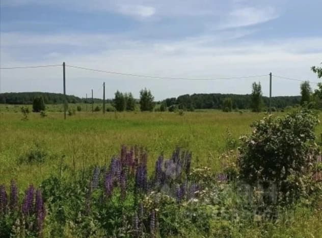 Купить земельный участок в Деревне Яши Кече в Высокогорском районе в Республике Татарстан (татарстан). Вариант № 2192107, 1, площадь - квм, цена 1500000 рублей