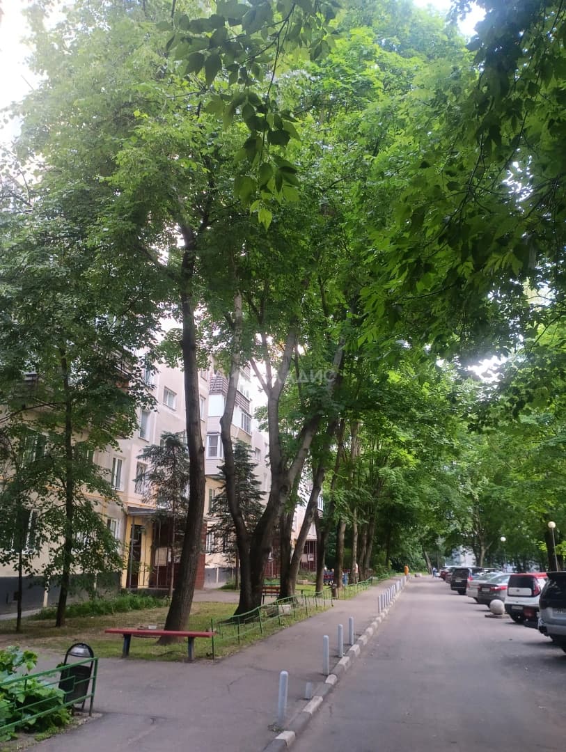 Photo 26