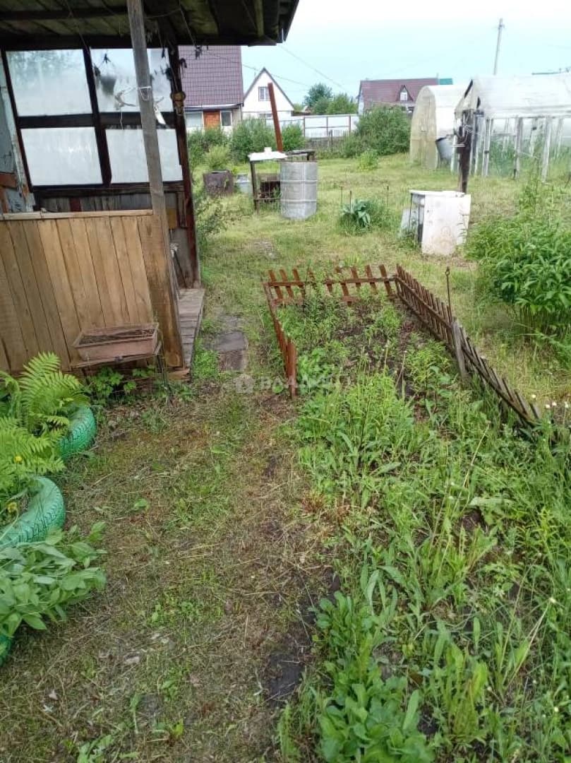 Photo 7