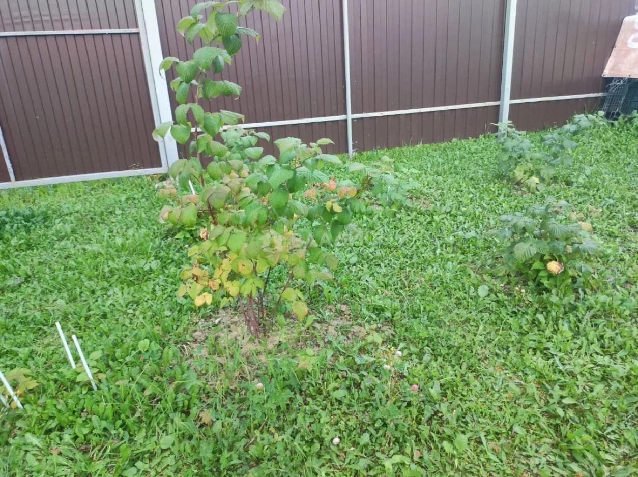 Photo 47