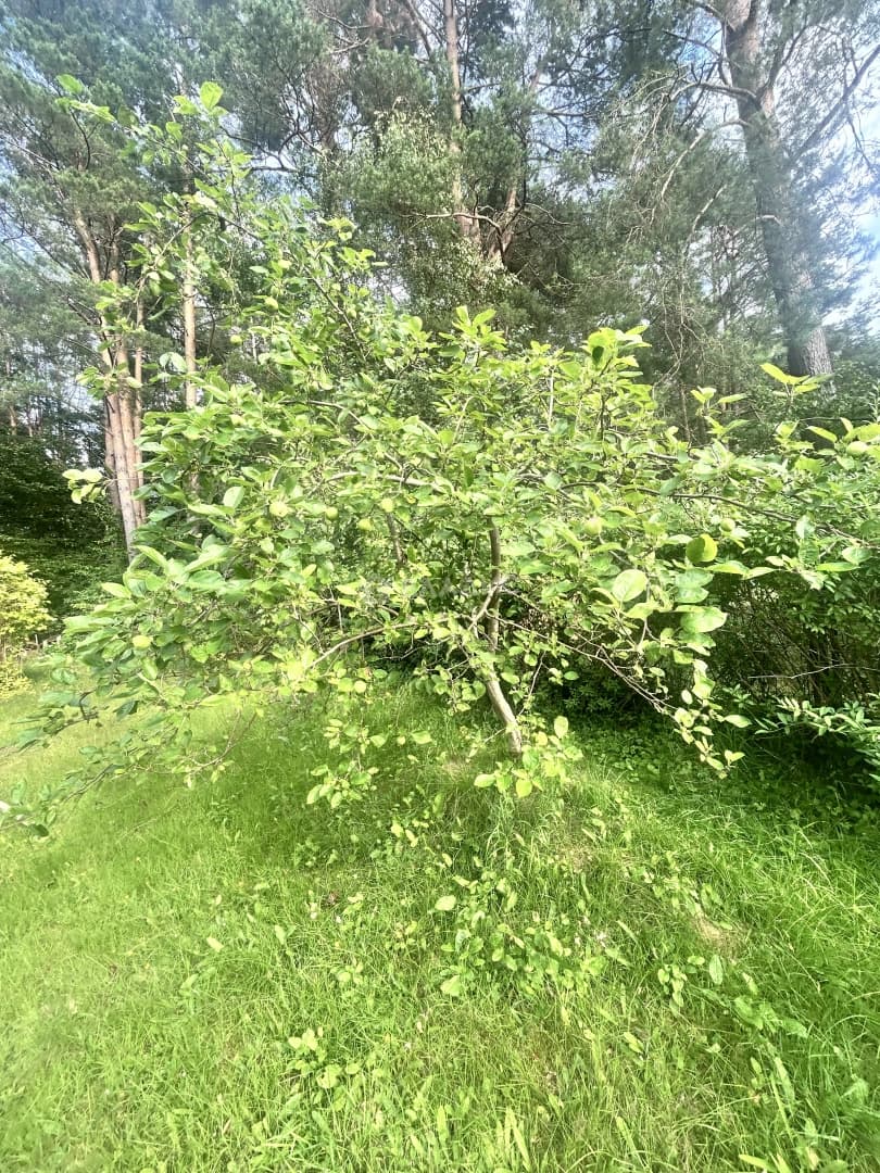 Photo 27