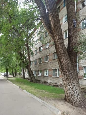 Купить многокомнатную квартиру до 2,5 млн в Воронеже. Вариант № 2205957, 0, площадь - квм, цена 1900000 рублей
