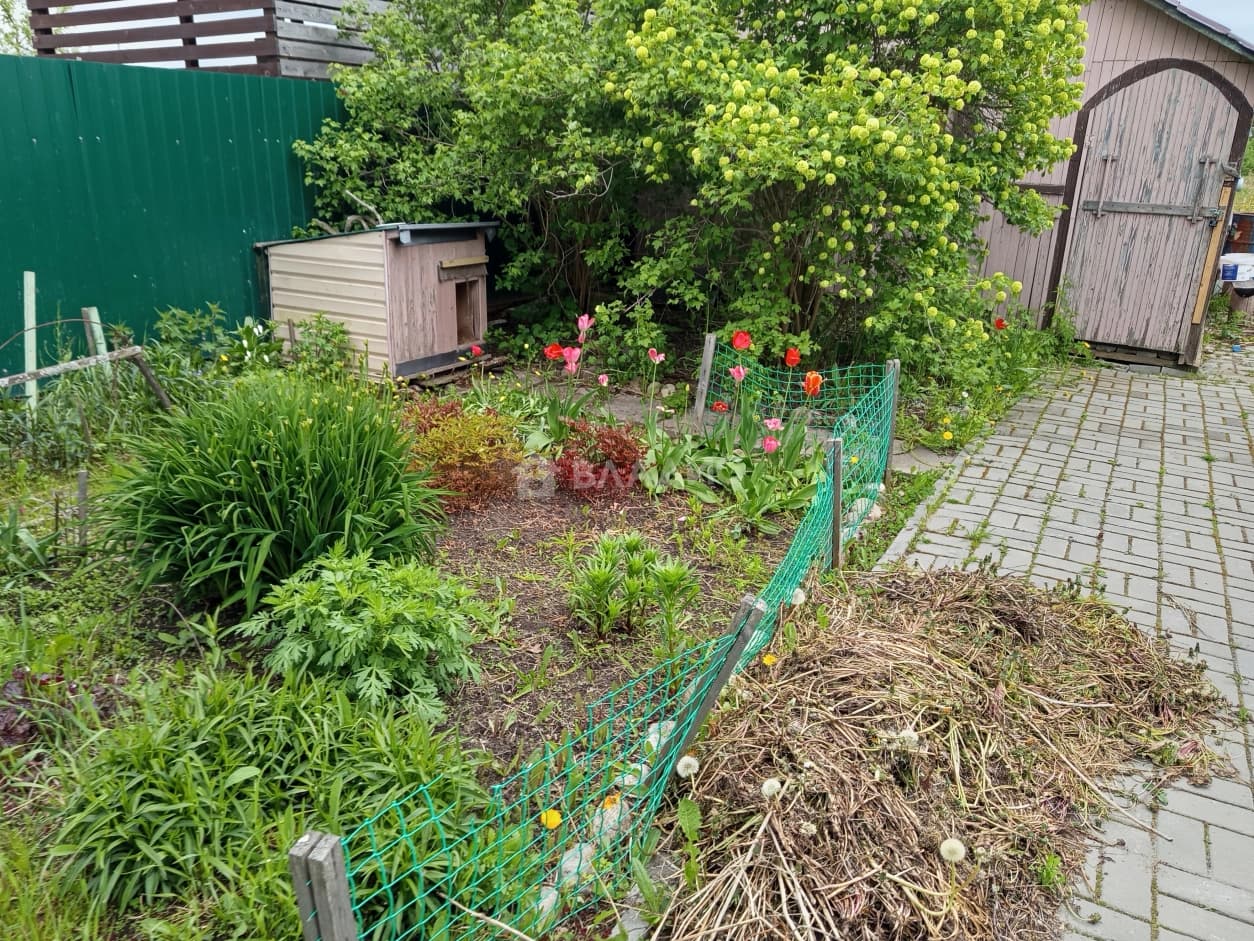 Photo 19