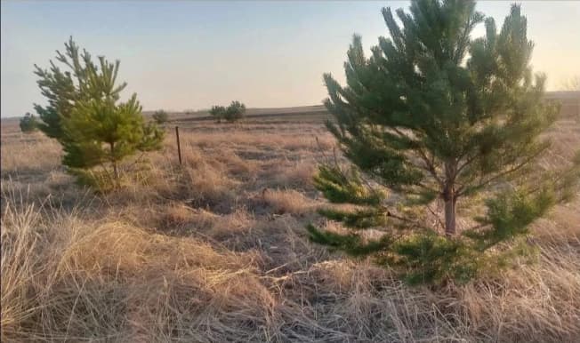 Купить земельный участок в Республике Татарстан (татарстан). Вариант № 2207018, 0, площадь - квм, цена 1700000 рублей